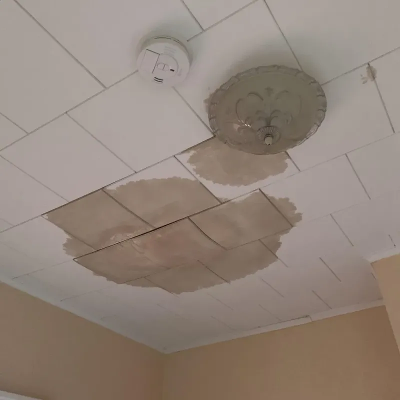 Ceiling Water Damage Repair in Brockport, NY