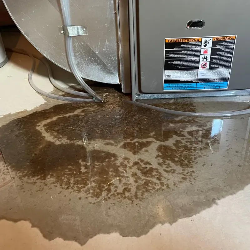 Pipe Burst and Leak Restoration in Brockport, NY